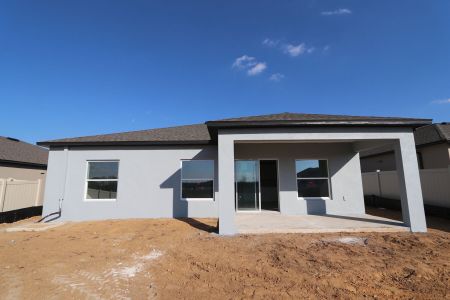 New construction Single-Family house 12263 Hilltop Farms Dr, Dade City, FL 33525 Sentinel- photo 67 67