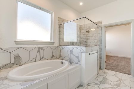 New construction Single-Family house 200 Sarra Ln, Poolville, TX 76487 plan Augusta Court - image 13