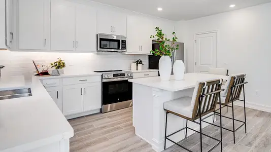 New construction Multi-Family house 3501 Silent Gardens Cv, Wesley Chapel, FL 33543 plan Flagler - image