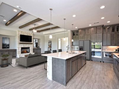 New construction Single-Family house 209 Bold Sundown, Liberty Hill, TX 78642 plan Catalina - image 18