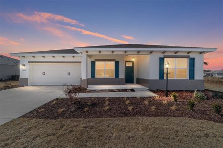 New construction Single-Family house 10668 Sw 101St Ln, Ocala, FL 34481 - image