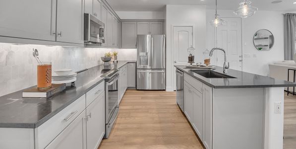 New construction Single-Family house 43208 N Hinoki St, Queen Creek, AZ 85140 plan Haven - image 8