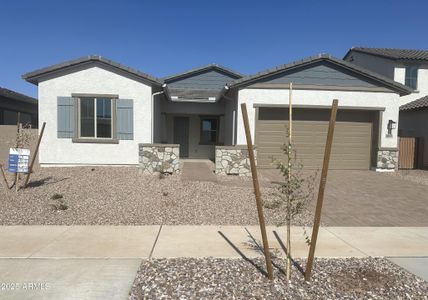 New construction Single-Family house 43471 N Wollemi St, Queen Creek, AZ 85140 - image