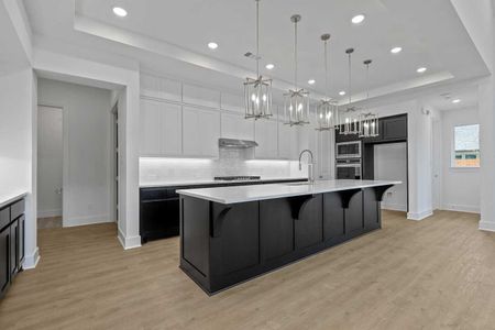 New construction Single-Family house Van Alstyne, TX 75495 plan Regis - image 15