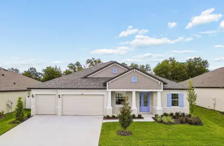 New construction Single-Family house 12420 White Blossom Ct, Parrish, FL 34219 plan Joyce - image