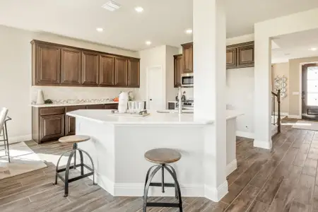 New construction Single-Family house 829 Rain Lilly St, Little Elm, TX 76227 plan Bayberry II - image
