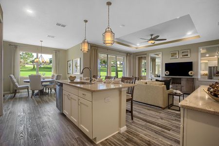 On Top of the World Communities by Colen Built Development, LLC in Ocala - photo 47 47