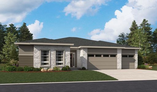 New construction Single-Family house 1167 Oleander St, Castle Rock, CO 80109 plan Holbrook - image 19