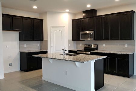 New construction Single-Family house 1161 Basalt Ln, Sanford, FL 32771 Piedmont- photo 8 8