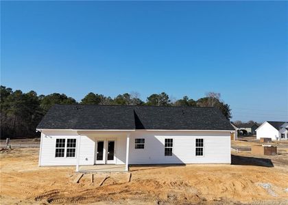 New construction Single-Family house 52 Orchard Ln, Parkton, NC 28371 - image