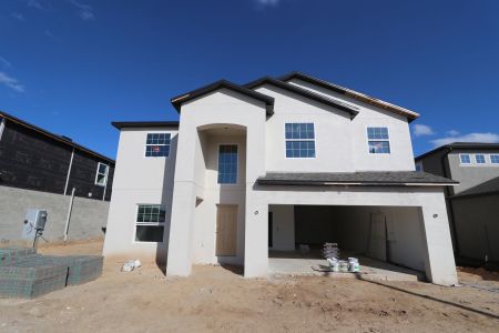 New construction Single-Family house 12134 Hilltop Farms Dr, Dade City, FL 33525 Malibu- photo 102 102