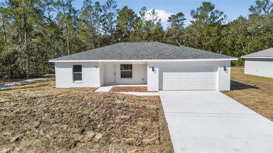 New construction Single-Family house 12 Malauka Pass, Ocklawaha, FL 32179 - image