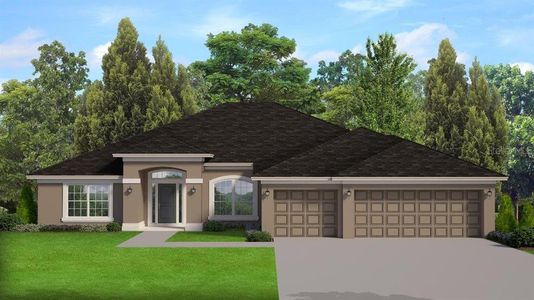 New construction Single-Family house 36823 Hidden View Cir, Dade City, FL 33523 - image