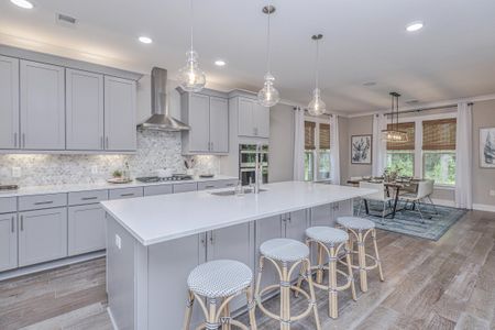 New construction Single-Family house 103 Augusta Pass Dr, Ridgeville, SC 29472 plan Putnam - image 9