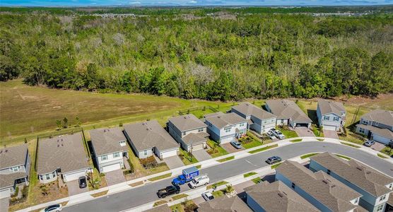 New construction Single-Family house 17291 Saw Palmetto Ave, Clermont, FL 34714 Morris- photo 34 34