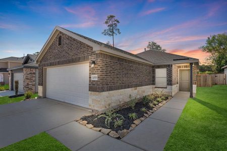 New construction Single-Family house 31539 Sapphire Springs Dr, Magnolia, TX 77354 null- photo 0