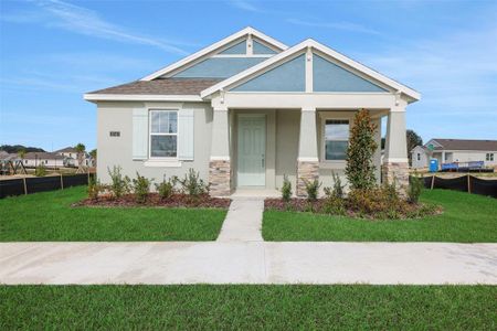 New construction Single-Family house 5161 Blanket Flower St, Apopka, FL 32712 - image