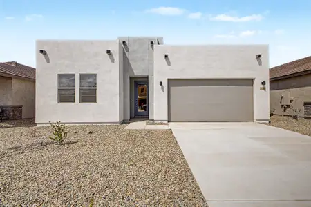 New construction Single-Family house 826 W Angelina Dr, San Tan Valley, AZ 85140 plan Cobalt - image