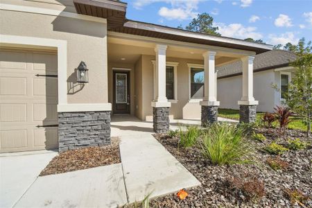 New construction Single-Family house 11512 Weaver Hollow Rd, New Port Richey, FL 34654 null- photo 2 2