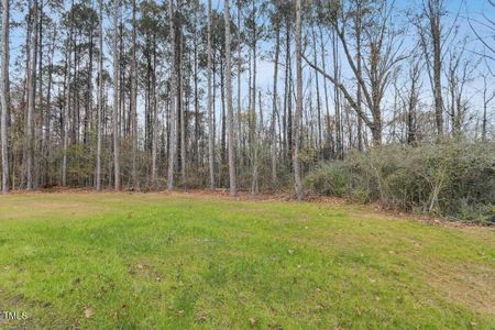 New construction Single-Family house 90 Blackberry Ln, Benson, NC 27504 null- photo 21 21