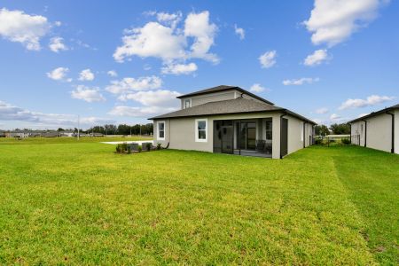 New construction Single-Family house 11855 Hilltop Farms Dr, Dade City, FL 33525 Picasso Bonus- photo 84 84