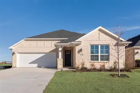 New construction Single-Family house 849 Blue Fescue Rd, Justin, TX 76247 plan Amelia - image
