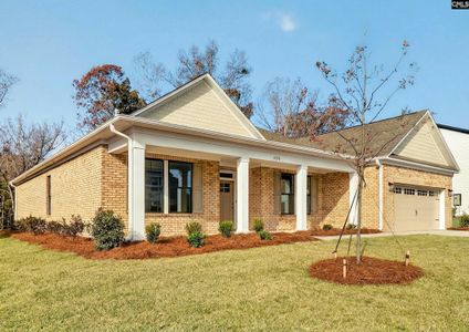 New construction Single-Family house 328 Murray Falls Ln, Chapin, SC 29036 plan Madeline II - image