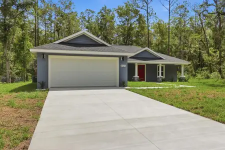 New construction Single-Family house 8727 N Spikes Wy, Dunnellon, FL 34434 - image