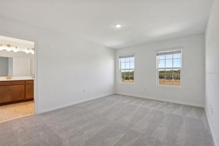 New construction Single-Family house 27512 Stellar Sea Way, Howey-in-the-Hills, FL 34737 Sanibel- photo 20 20