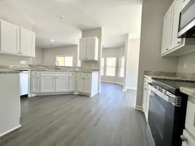 New construction Single-Family house 559 Society Rd, McClellanville, SC 29458 - image