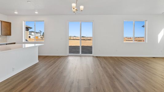 New construction Single-Family house 1448 Boyle St, Windsor, CO 80550 plan Kensington - image 12
