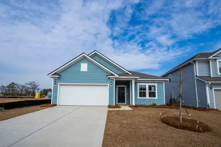New construction Single-Family house 145 Monroe Preserve Dr, Chapin, SC 29036 plan Morgan - image