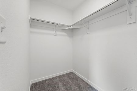 New construction Townhouse house 1335 N Alton St, Aurora, CO 80010 Unit 3- photo 17 17