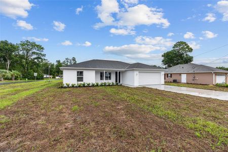 New construction Single-Family house 13019 NE 7th Lp, Silver Springs, FL 34488 - image