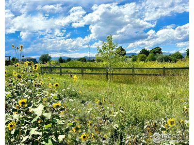 Beautiful natural space and meandering subdivision trail directly behind the home