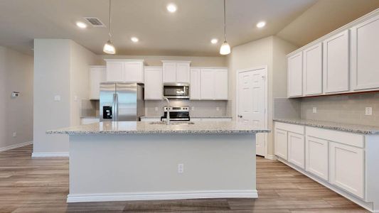 New construction Single-Family house 14066 Carsten Loop, Salado, TX 76571 Elmwood- photo 6 6