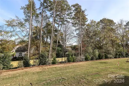 New construction Townhouse house 2109 Bayou Trace Dr, Charlotte, NC 28262 null- photo 43 43