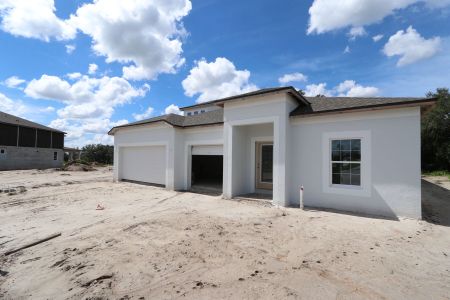 New construction Single-Family house 9603 Crescent Ray Dr, Wesley Chapel, FL 33545 Barcello Bonus- photo 6 6