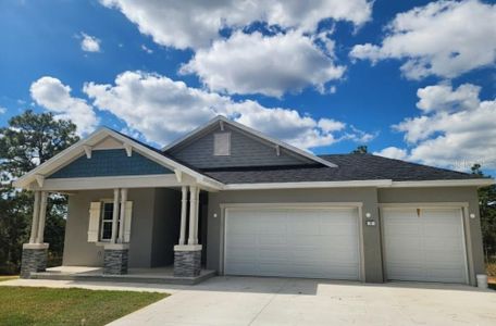 New construction Single-Family house 3 Dahlia Ct N, Homosassa, FL 34446 - image