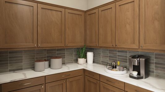 New construction Single-Family house 11139 Rio Bravo Rd, Gold Canyon, AZ 85118 plan 1022 - image 11