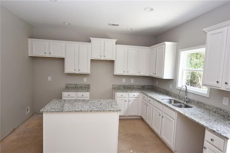 New construction Single-Family house 113 Goldin Rd, Temple, GA 30179 null- photo 8 8