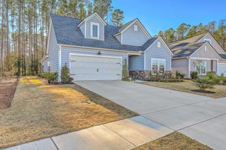 New construction Single-Family house 1390 Locals St, Summerville, SC 29485 plan Collins - image