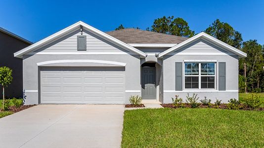 New construction Single-Family house 24 Hickory Crse, Ocala, FL 34472 null- photo 34 34