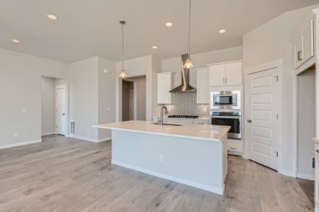 New construction Single-Family house 8405 S Winnipeg Ct, Aurora, CO 80016 null- photo 14 14