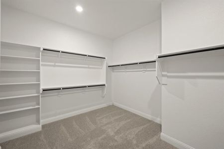 New construction Single-Family house 974 Reeves Dr, DeSoto, TX 75115 plan Manor (Courtyard) - image 17