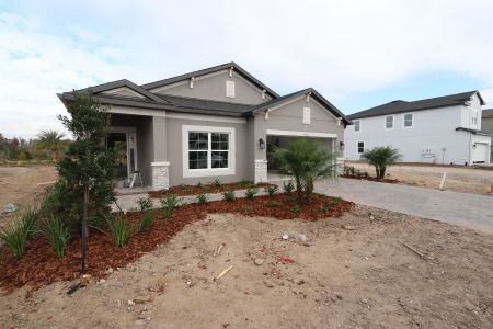 New construction Single-Family house 31229 Denham Ridge Ln, Wesley Chapel, FL 33545 Newport II- photo 45 45