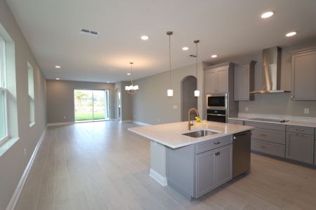 New construction Single-Family house 31229 Denham Ridge Ln, Wesley Chapel, FL 33545 Newport II- photo 80 80