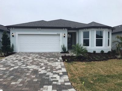 New construction Single-Family house 9230 Sand Dune Cv, Parrish, FL 34219 null- photo 0