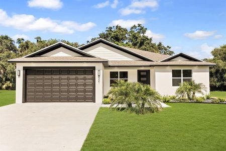 New construction Single-Family house 321 Watershore Dr, Leesburg, FL 34748 - image