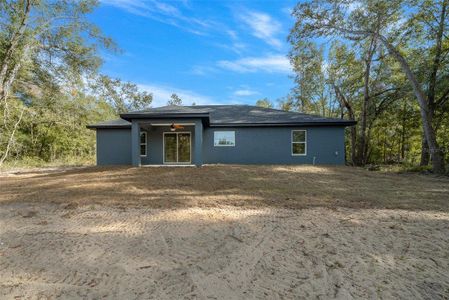 New construction Single-Family house 14 Guava Terrace Trce, Ocklawaha, FL 32179 null- photo 28 28
